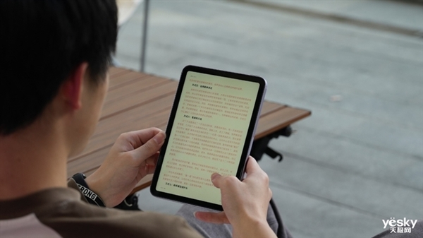 ！iPad mini最新款深度体验PP电子模拟器吃灰率最低的iPad(图12)
