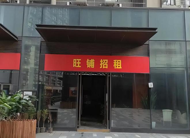 值最快的不是房子和股票而是这5样东西！PP电子DeepSeek分析：未来贬(图5)